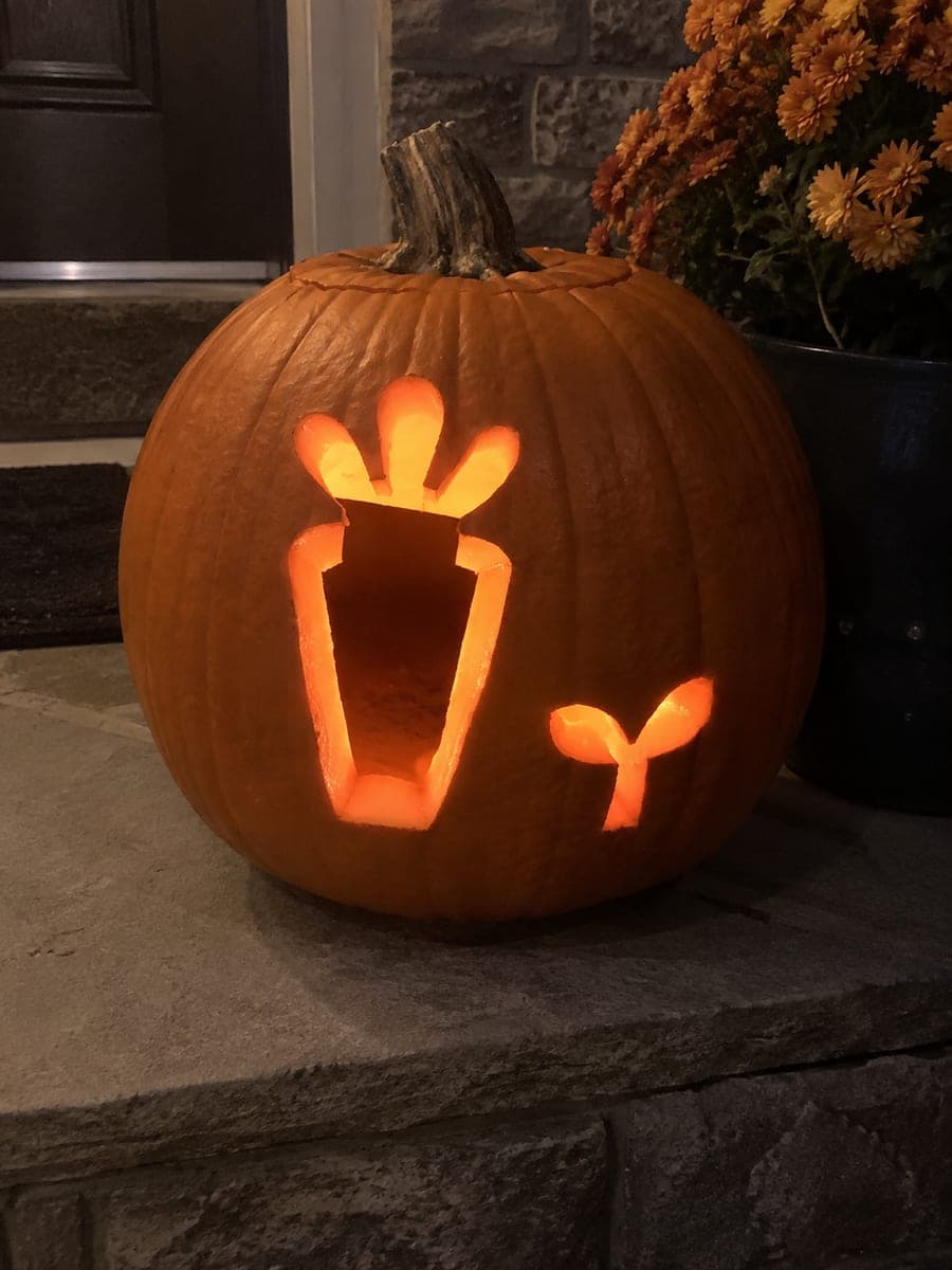 Grow a Garden Carrot Pumpkin