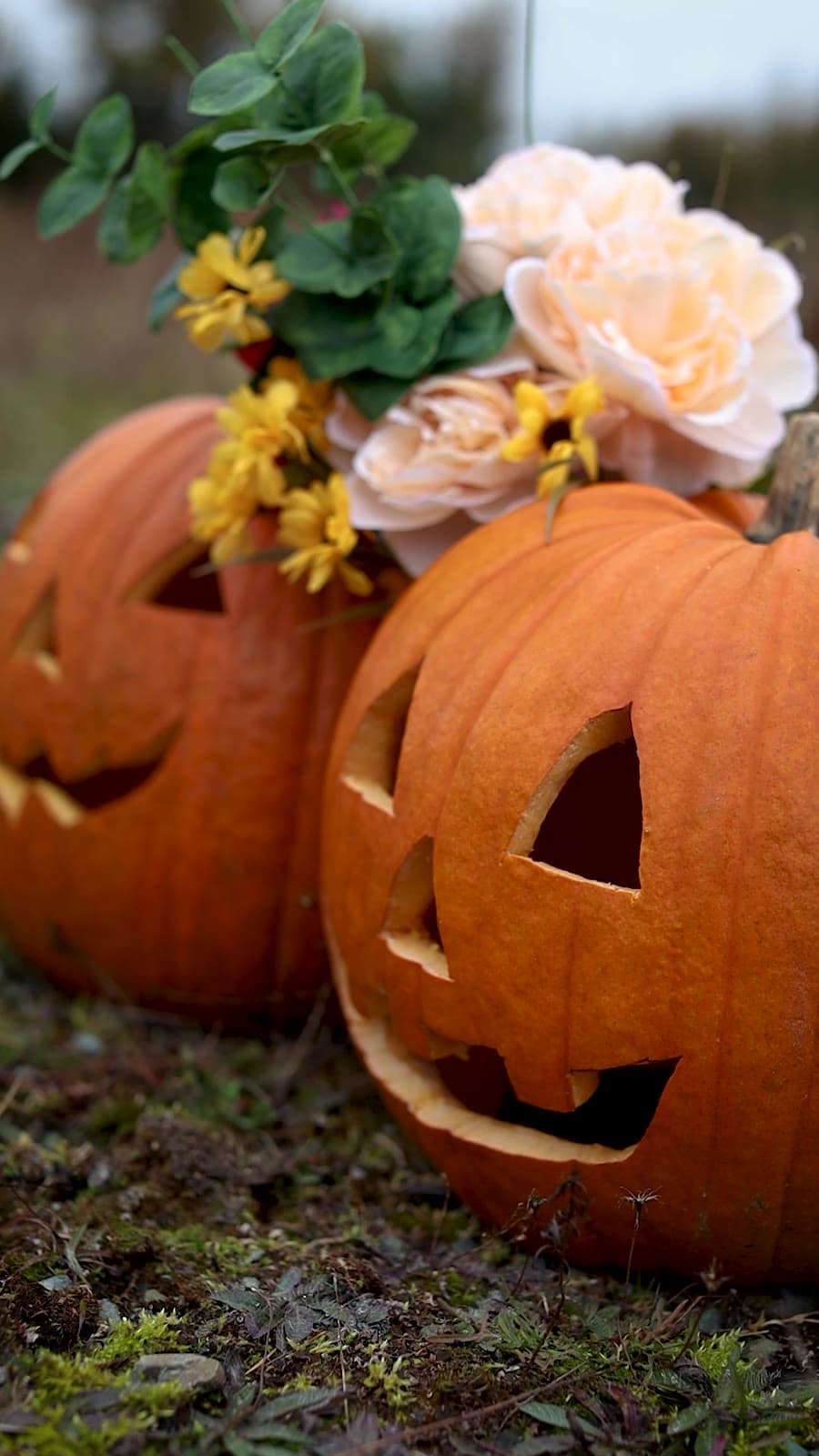 Easy pumpkin carving ideas