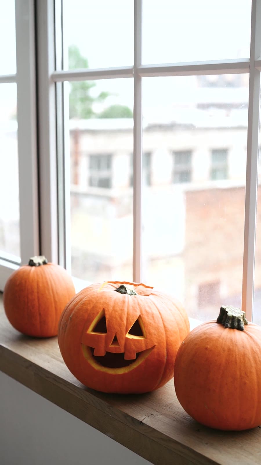 Sunny the Windowsill Grin pumpkin carving